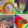 Túnel de gato colapsível Tunnel Pets Toys Conectable Tunnel Cat Tubo Tubo Tube Toys dobrável Hole Kitten Toys coloridos de animais coloridos