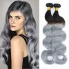 Nuova nonna ombre Grey Grey Brasiliana Body Wave Hair Bundle 3/4 PC 1B Silver Grey Silver Grey 2 Tone Ombre Human Virgin Hair Wavy Weaves