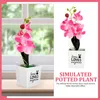 Fleurs décoratives fausse table de table en pot décoré artificiel simulé simulation de faux plastique orchidée