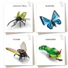 TOYLINX BUROS FALSO CONSTRUÇÃO DE BURNAMENTO DE PRIMEIROS CRAWLER BLOCO BLOCO BLOCO CICADA Caterpillar Butterfly Hercules Beetle Toy para Kid