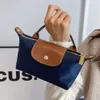 2024 fällbara dumplings väskor nylon mini tote påse broderade häst axel väskor crossbody väskor kvinnor pendlare shopping väskor 10a