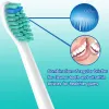 Têtes de brosse à dents de remplacement Compatible avec Philips Sonicare Electric Brosses HX6530 HX9340 HX6930 HX6710 HX9140 HX6921