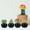 Flores decorativas 4 pcs ornamentos simulados bonsai faux planta pvc miniature em vaso de decoração suculenta