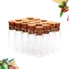 Vasen 24PCS kleine Glasflasche mit Holzkorken Stopper klar, wunschende Driftflaschen Nachricht für die Duschdekoration