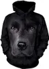 Nouveau chien graphique graphique 3D imprimé à manches longues Kangaroo Pocket Design Hoodie Sportswear Capuche pour hommes