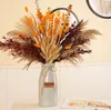 Fiori decorativi 100pcs boho secco flower erba bouquet pampas scena di matrimonio decorazione polo