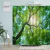 Forest Scenery Shower Curtain Sunlight Trees Green Plants Misty Natural Landscape Bathroom Accessories With Hook Screen Washable