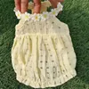 Vêtements pour chiens vêtements pour chiens robe de marguerite douce style coréen chiens floraux respirants sophistime chiot jupe acrylique fibres de fleur d'été l46