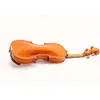 D Z Strad Model 220 Violin Bundle - Complete with Dominant Strings, Bow, Case, Rosin, and Shoulder Rest for Open Clear Tone - Full Size 4/4