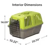Kattbärare bärare idealisk för XS-hundraser 22-tums grönt ut bärbara leveranser