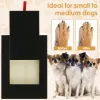 Hondennagel Scratch Pad houten hond nagelbestand met ingebouwde snackbox schuurpapier puppy nagel slijpkussen stevige hondenpoten