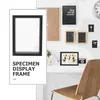 Frames Afficher l'étagère Caris Image Cadre de fleurs pressées Spécimen pour Pos Dry Double Glass