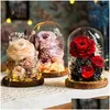 Fleurs décoratives couronnes de rose éternelle fleur de rose avec verre en verre Valentin pour la fête mère préservée des roses immortelles cadeau dhgef dhgef