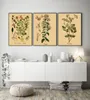 Herbas culinarias Impresiones de carteles Flor Herbal Ilustraciones botánicas Kraft Room vintage Home Home Kitchen Art Decoración de la pared