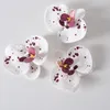 Декоративные цветы Phalaenopsis Искусственная цветочная головка для свадебной украшения гостиная.