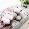 Decorative Flowers 5Pcs Artificial Flower Kapok Cotton Head For Wedding Christmas Home Decoration DIY Craft Wreath Scrapbook Natural Dried