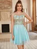 Misshow Summer Mini Beach Lace Drity for Women Sexy Illusion Tulle tulle tulle tulle tulle frustes evening prom party vestidos curto 240408