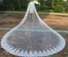 TwoLayer Cathedral Length Long Bridal Veil Tulle Applique Wedding Veils Custom Made Bride039s Veil Bridal Accessories With Com7991683