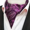 Ascot Tie Mens Vintage Paisley Cashew Cravat Neck Scarf Silk Scrunch Self British Style Gentleman Necktie Wedding Formal240409
