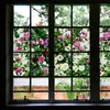 Autocollants de fenêtre Films tachés floraux givrés statique couvercle couverture en verre feuille de fleur de fleur amovible balcon moal amercia décoration intérieure