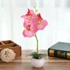 Flores decorativas Flor artificial pequena panela redonda de três flores Phalaenopsis Bonsai Green Plant Simulation em vaso