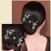 Clip de cheveux de fleurs non glissé Exquis