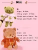 30/40 cm Plush Bear Hidden Safes Storage Safe Cell Syn Secret Stash Box Creative Gift For Pengar smycken Kids Doll Bear