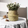 SEAGRASS RICKER WORK RATTAN CHASSHE CASSUR