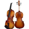 D Z Strad Model 220 Violin Bundle - Complete with Dominant Strings, Bow, Case, Rosin, and Shoulder Rest for Open Clear Tone - Full Size 4/4