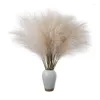 Dekorative Blumen Boho künstliche Pampas Graspflanze Faux Fluffy Bulsh Reed für Vase Füllstoff Bauernhaus Home Hochzeit