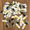 Party Decoration 100pcs Graduation Season Confetti Table Klasse van 2024 Dertinelijke hoed gooien voor viert