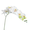 Simulazione di fiori decorativi Orchidea decorazione del matrimonio fiore falsa falaenopsis artificiale