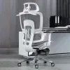 リビングルーム人間工学に基づいた椅子コンピューターラグジュアリーレイジーラウンジアクセントオフィスチェアモバイルカデイラスデエスクリトリオ家具