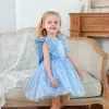 Little Girl Party Dress Flower Girl Dress Wedding 1 2 3 4 5th Birthday Children's Dress Princess Tulle Children's Dress