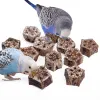 Ptak Parrot Toy Natural Chew Toys Suszone gwiazdy Cage Akcesoria dla chomika Gerbils Chipmunks Małe średnie ptaki G2AB