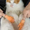 Palmenförmige lustige Mini -Hände kreative Fingerbetten Kleine Hand Tease Kätzchen Katzen Massaget Handschuhe Haustier Interaktives Spielzeug