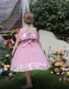 Pretty Silver Vine Champagne Pink Jewel Girl's Birthday/Party Dresses Girl's Pageant Abites Dresses Girl Girls Girls Overyda