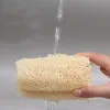 10 pezzi da bagno spugna della zucca naturale da bagno di sponde per pulizia della doccia per la doccia esfoliante strumo scrupolo