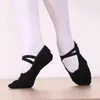Perceau de scénario Perlets Pantyhose Ballet Chaussures Softs Three Split Sole Stocking Girls Ballerina Dance Dance Stretch Tissu Mesh Splice