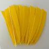 50 Pack Arrow Fletching 5 Inch Turkey Feather Vanes for DIY Archery Bow Arrow Fletches Accessories Right Wings Shield Cutter