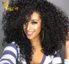 Deep Curly Brazilian Indian Malaysian Peruvian Mongolian Lace Front Human Hair Wigs With Baby Hair Pre Plucked Full Lace None Remy7379269