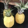 Vaser 3m lim ananas luft växtpott hållare planter container display med inomhus vägg heminredning