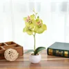 Flores decorativas Flor artificial pequena panela redonda de três flores Phalaenopsis Bonsai Green Plant Simulation em vaso