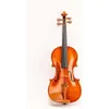 D Z Strad Model 220 Violin Bundle - Complete with Dominant Strings, Bow, Case, Rosin, and Shoulder Rest for Open Clear Tone - Full Size 4/4