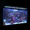 USA/Storbritannien/EU/AU Plug LED Aquarium Light Multi-Color Full Spectrum 30cm Fish Tank Aquatic Plant Grow Lamp Aquarium Accessoires D30