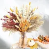 Fiori decorativi 100pcs boho secco flower erba bouquet pampas scena di matrimonio decorazione polo