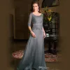 Vintage Gri Gri Gelin Elbiseleri 1993 Resmi Gowns Uzun Artı Boy Boyutlu Anneler Kollu 2024