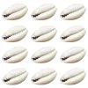 50pcs Diy White Sea Shell Cowrie Cowry Charme Beds Acessórios de jóias de praia para mulheres Brincagens Acessórios de colar de pulseira