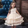 Детские элегантные жемчужные торт платье для принцессы для девочек платья для свадебной вечерней вышив