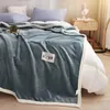 Blankets Weighted Blanket For Beds Warm Winter Flannel Bedspread On The Bed Fluffy Luxury Throw Pink Chair Sofa Home